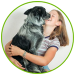 Your Car - Your Pet Transport 6 Air Flight Pet Nanny Transport