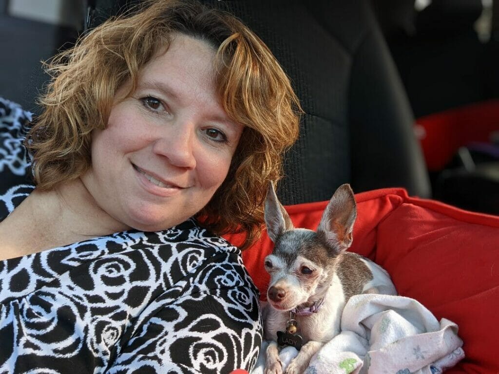 Pet Transport Services 3 Flight Nanny Pets