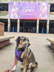 Pet Transport Grand Ole Opry 1 Home