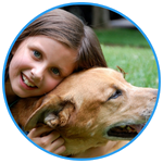 Private Pet Ground Transportation