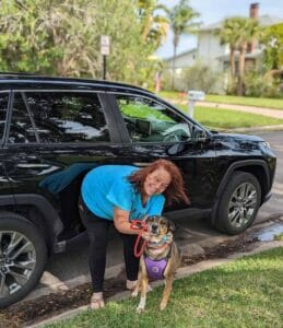 | The Sterling Pooch Pet Services