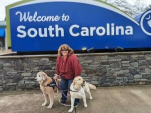 Dog Transport Ground