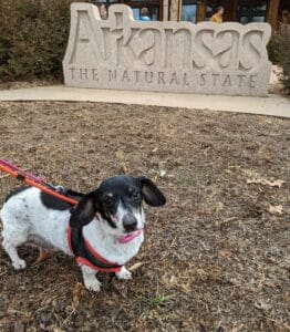 | The Sterling Pooch Pet Services