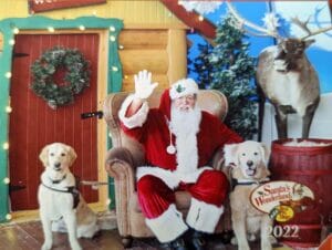 | The Sterling Pooch Pet Services