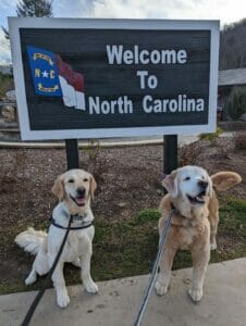| The Sterling Pooch Pet Services