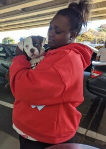 | The Sterling Pooch Pet Services