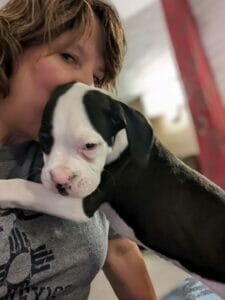 | The Sterling Pooch Pet Services