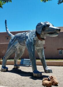 Animal Relocation Transport